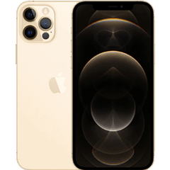 Apple iPhone 12 Pro Max 256GB Refurbished | Gold | 1-year Warranty | Accessories